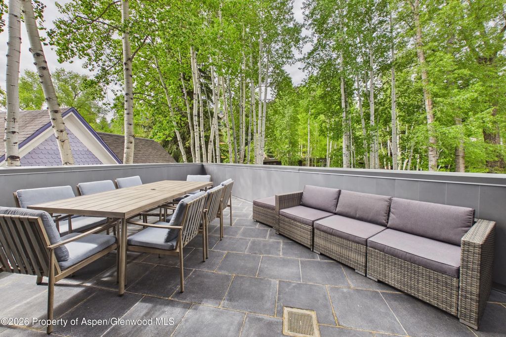 11 of 34 - 506 W Hallam Street, Aspen, CO
