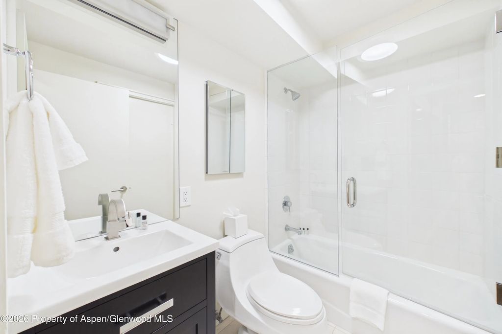 32 of 34 - 506 W Hallam Street, Aspen, CO