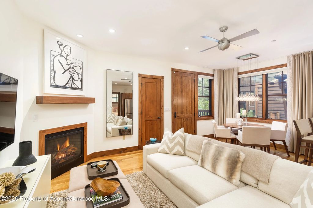 507 W Main Street C101, Aspen