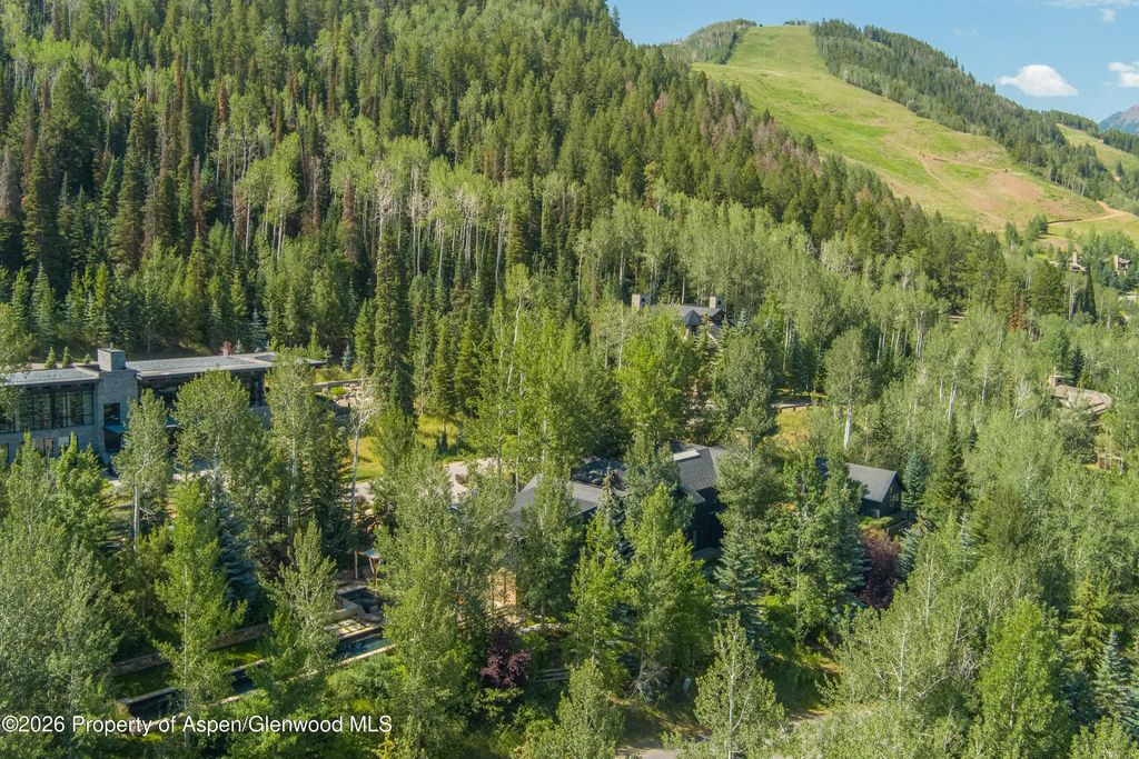28 of 29 - 111 Powderbowl Trail, Aspen, CO