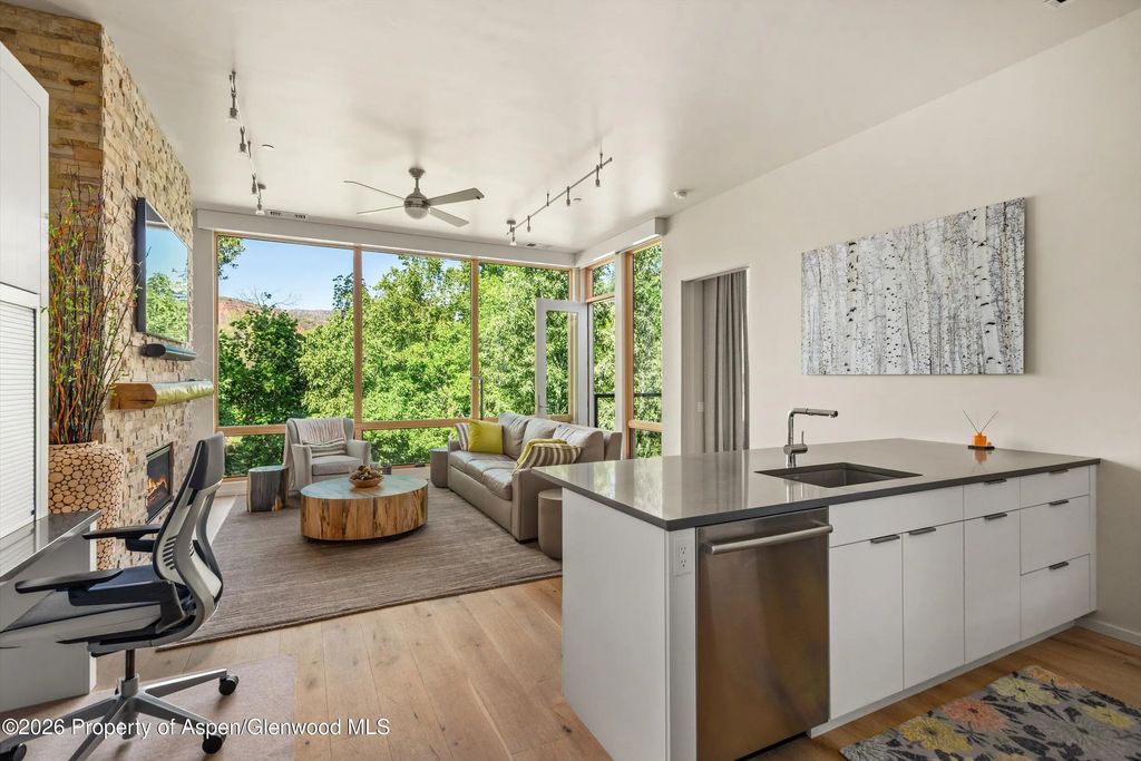 16 of 27 - 101 Willits Way 205, Basalt, CO