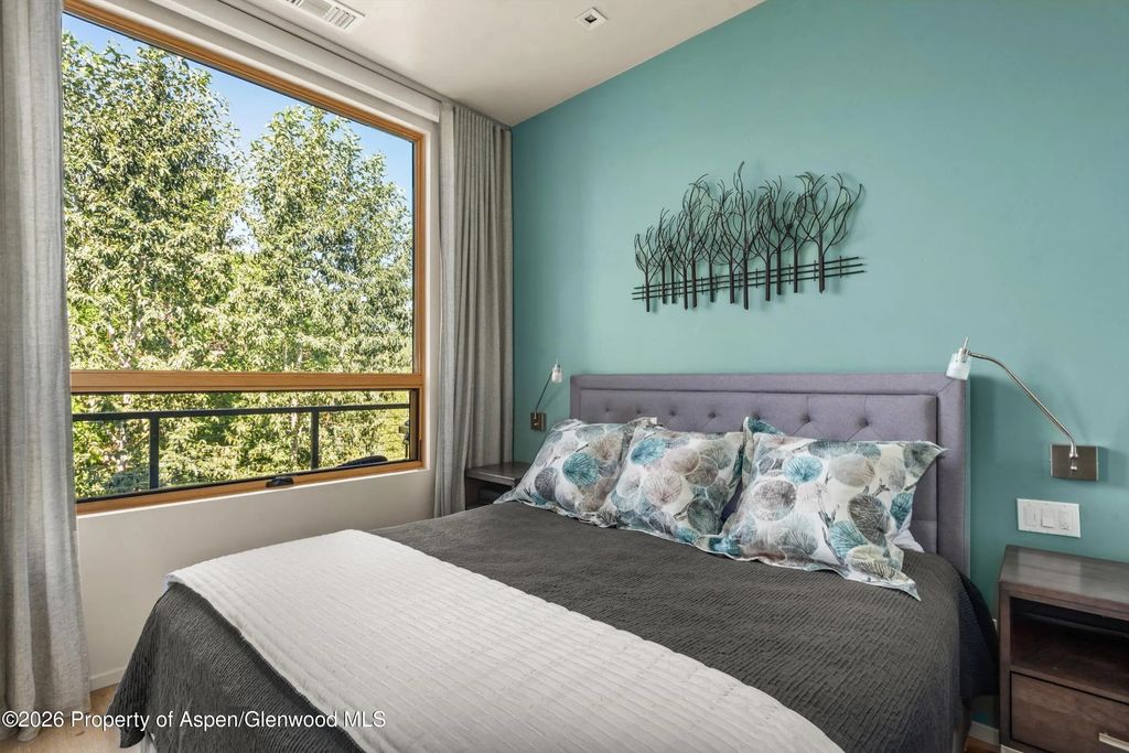 18 of 27 - 101 Willits Way 205, Basalt, CO