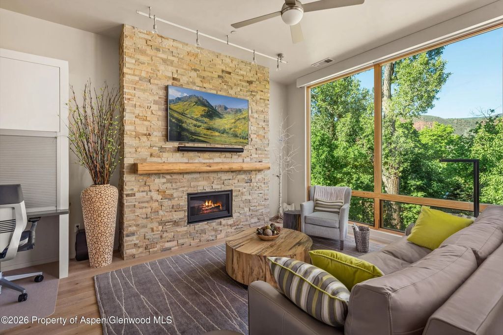 5 of 27 - 101 Willits Way 205, Basalt, CO