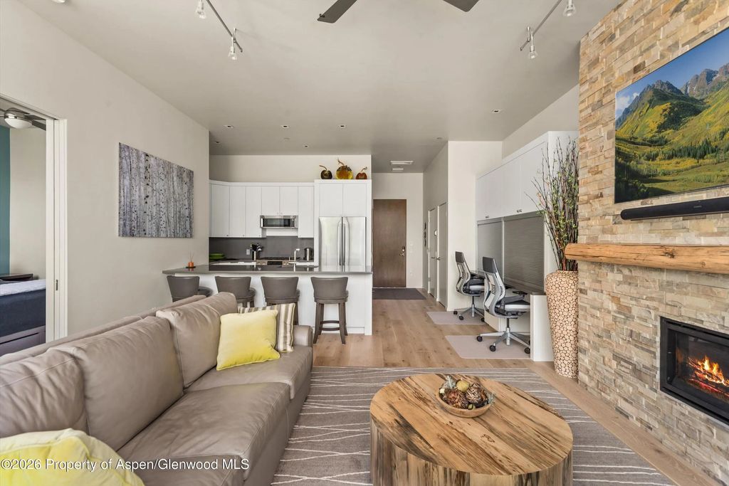 8 of 27 - 101 Willits Way 205, Basalt, CO