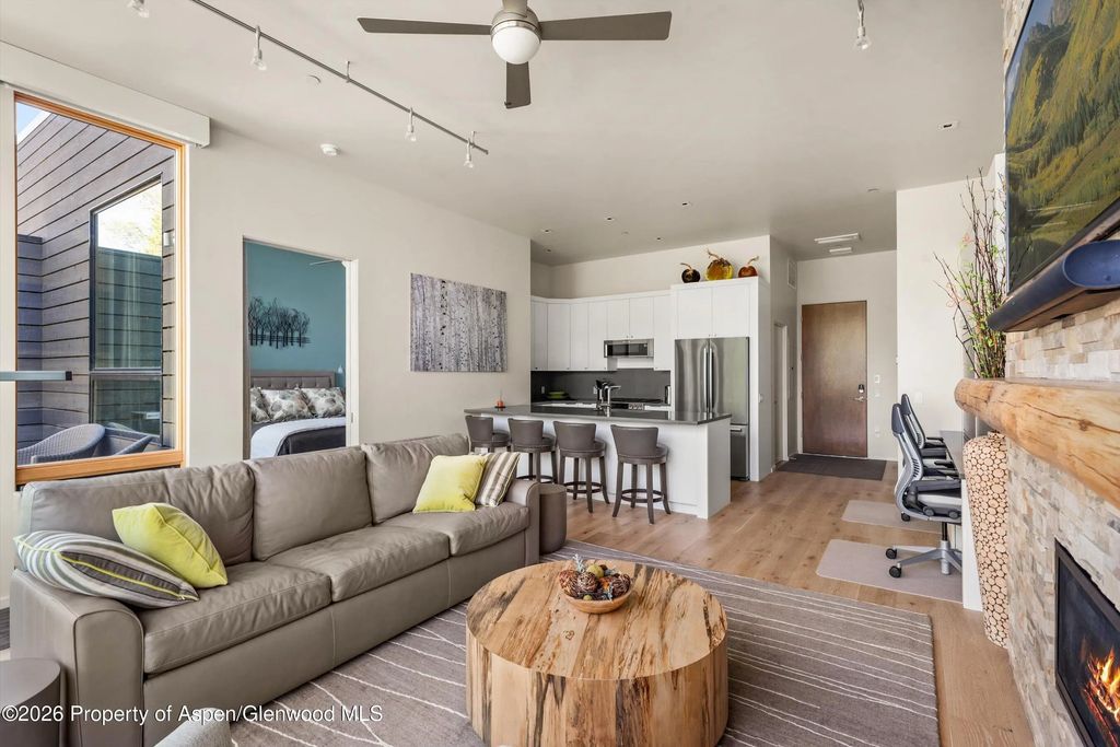 9 of 27 - 101 Willits Way 205, Basalt, CO