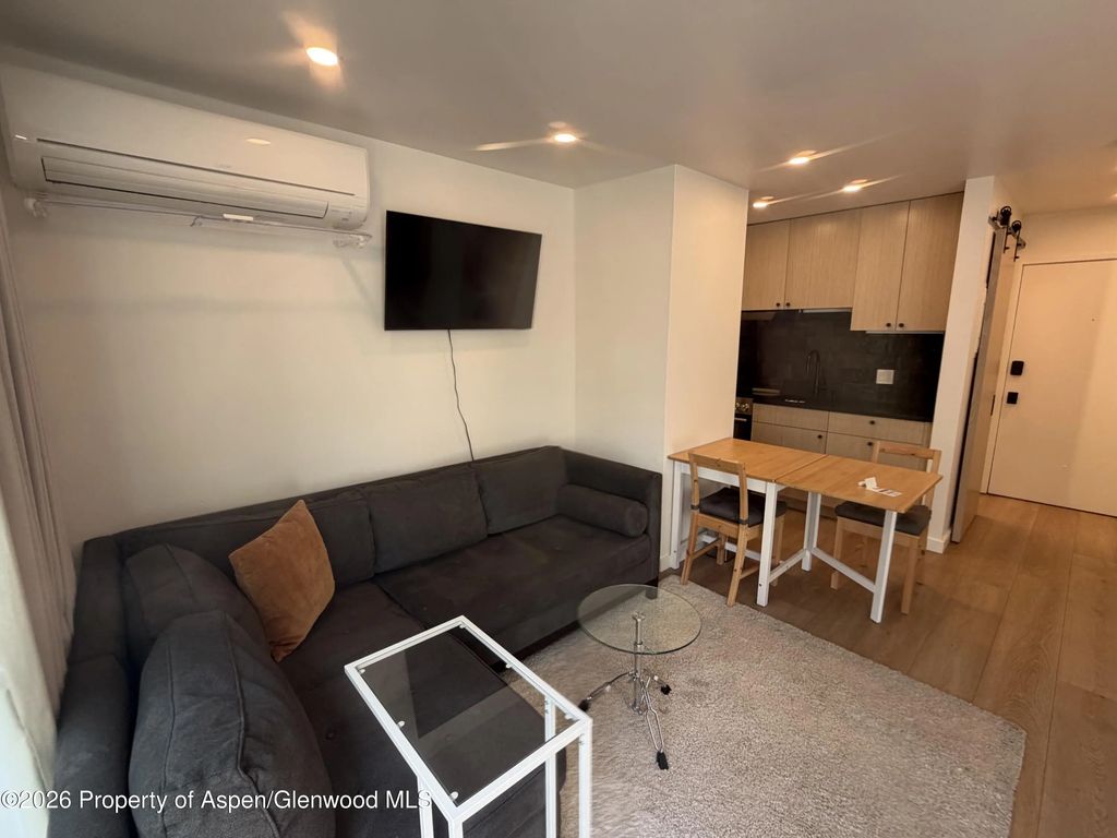 725 E Main Street 107, Aspen