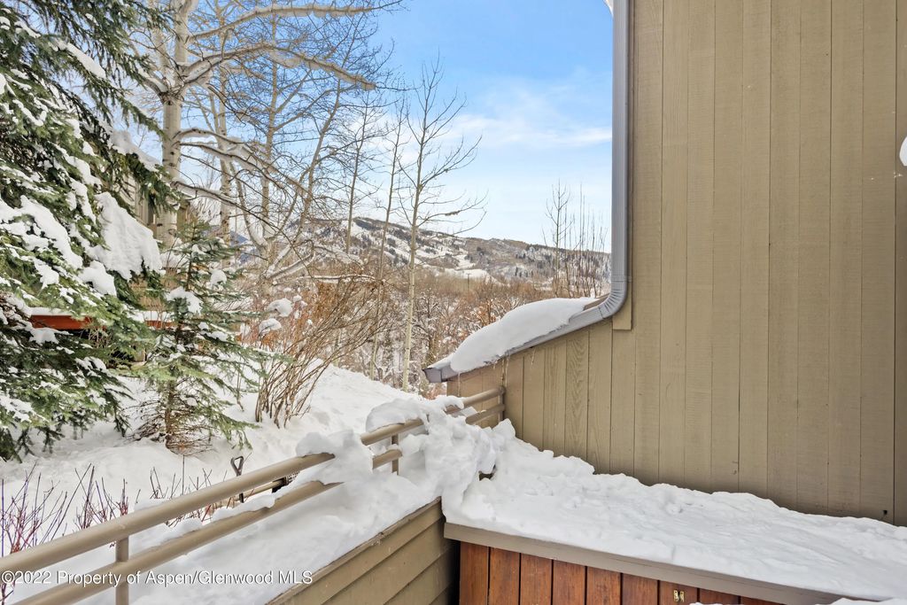 17 of 18 - 100 N 8th Street 20, Aspen, CO