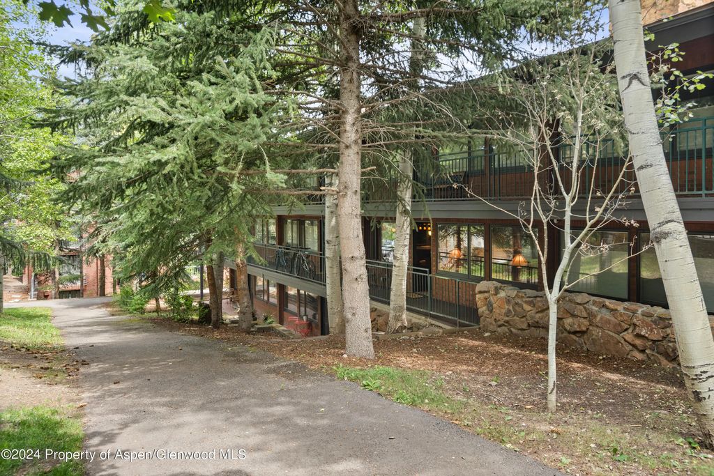 731 S Mill Street 2c, Aspen