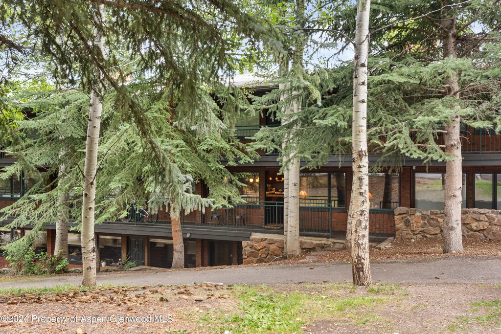 14 of 18 - 731 S Mill Street 2c, Aspen, CO