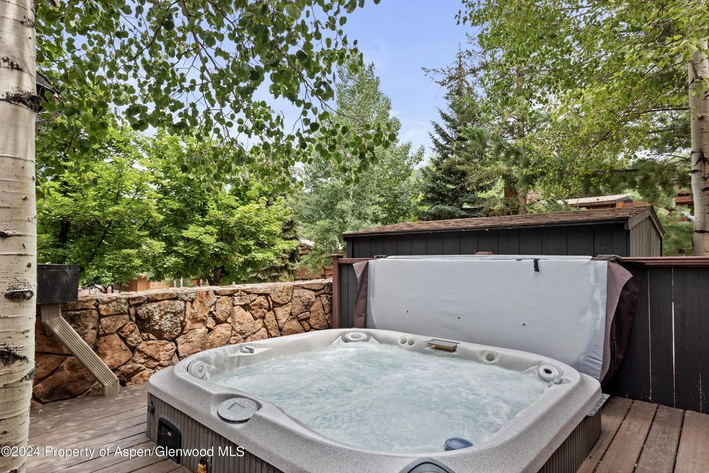 15 of 18 - 731 S Mill Street 2c, Aspen, CO