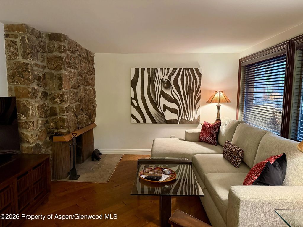 5 of 18 - 731 S Mill Street 2c, Aspen, CO