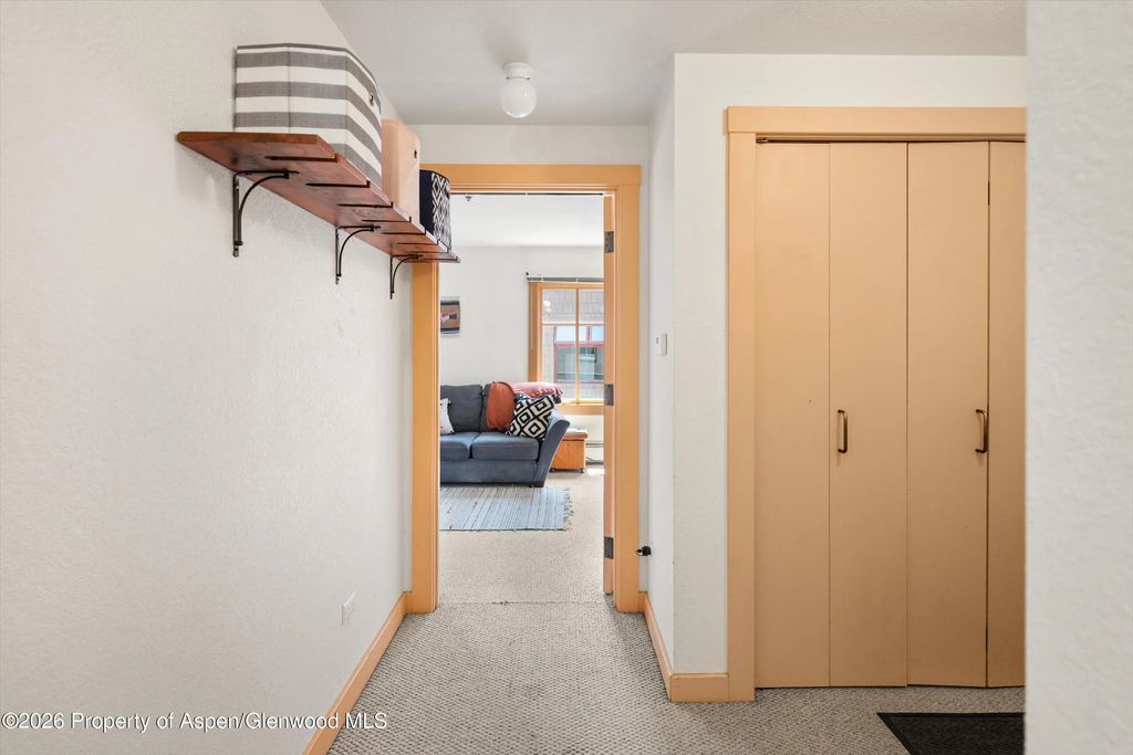 29 of 37 - 115 Boomerang Road 5309, Aspen, CO