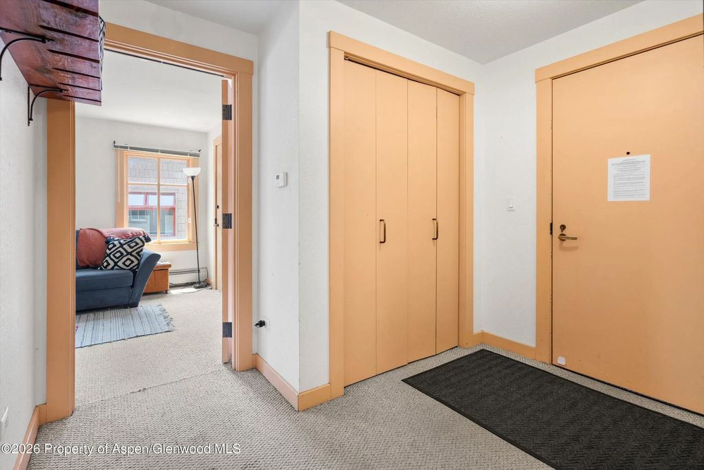 30 of 37 - 115 Boomerang Road 5309, Aspen, CO