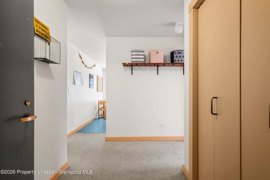 31 of 37 - 115 Boomerang Road 5309, Aspen, CO