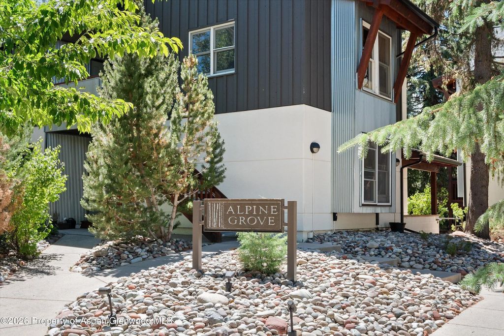 414 Aspen Airport Business C, Aspen
