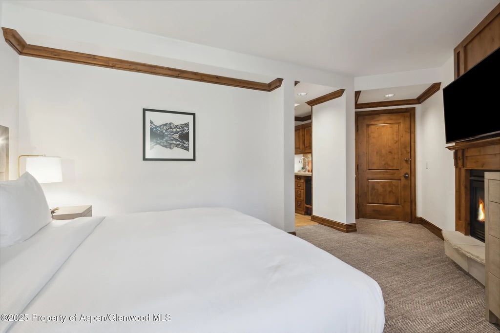 20 of 36 - 415 E Dean St, #47, Weeks 51/52, Aspen, CO
