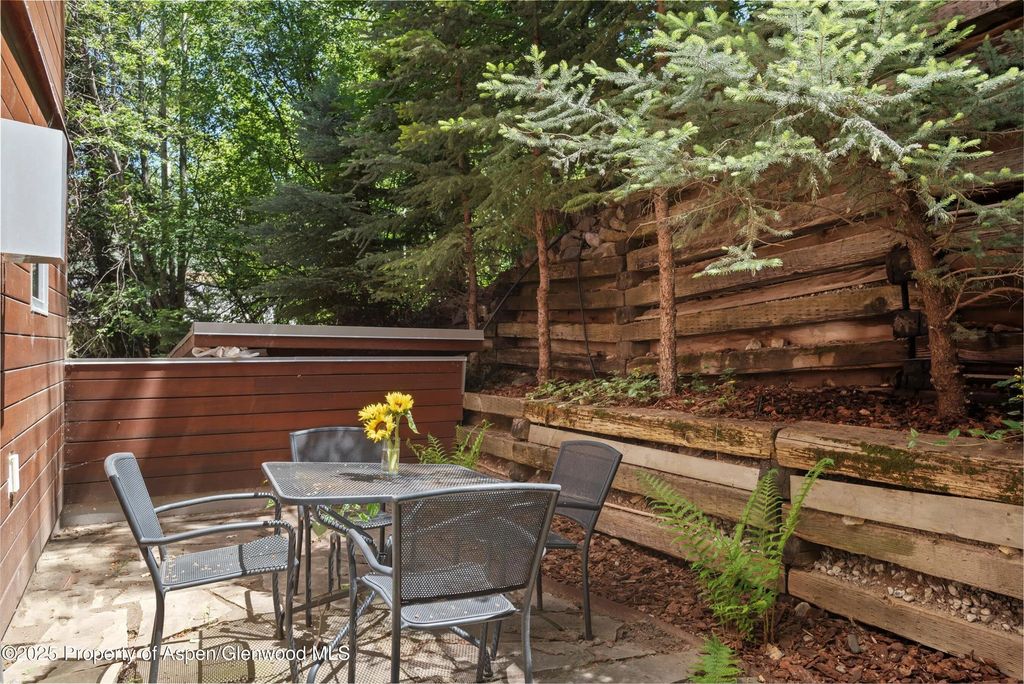 30 of 44 - 714 S Galena Street B, Aspen, CO