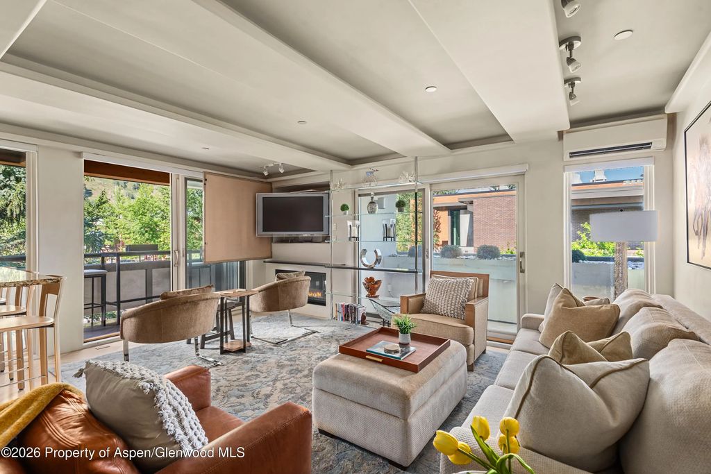 600 E Main Street 301, Aspen