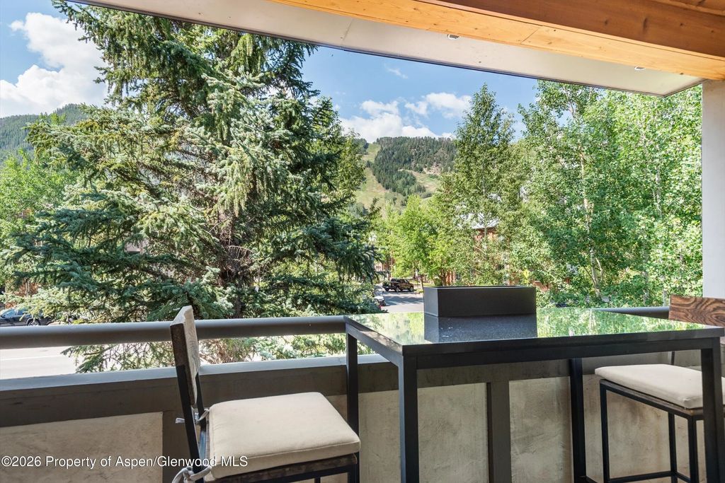 4 of 13 - 600 E Main Street 301, Aspen, CO