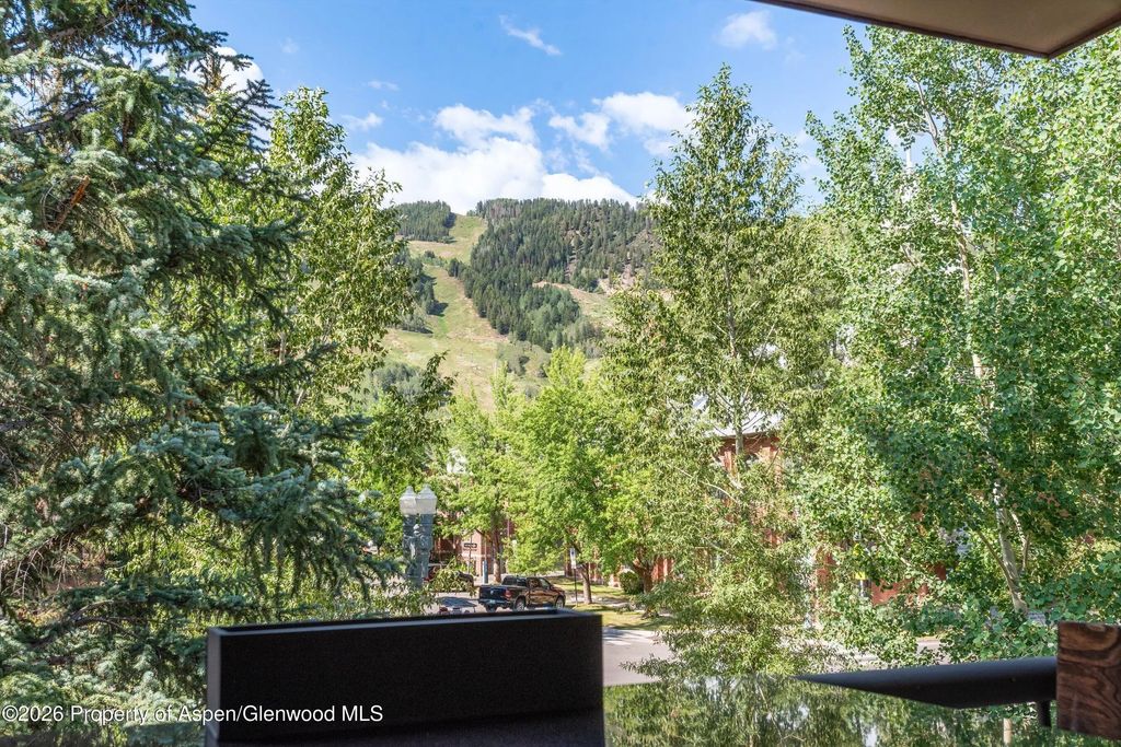 5 of 13 - 600 E Main Street 301, Aspen, CO