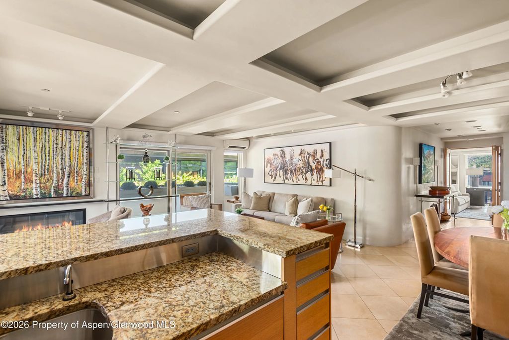 7 of 13 - 600 E Main Street 301, Aspen, CO