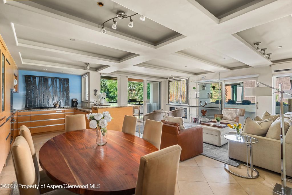 8 of 13 - 600 E Main Street 301, Aspen, CO