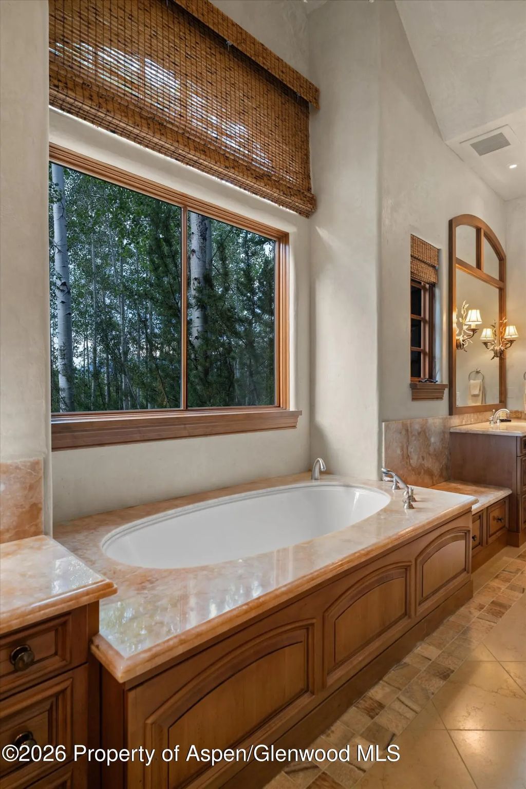 46 of 84 - 691 Pfister Drive, Aspen, CO