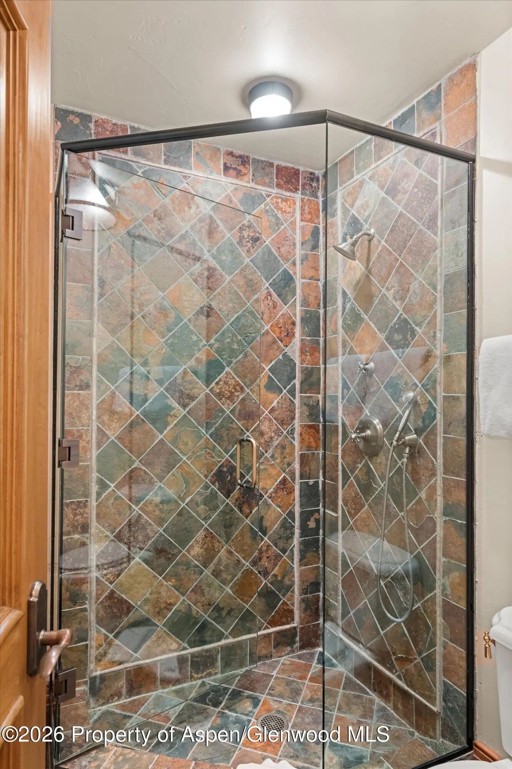 52 of 84 - 691 Pfister Drive, Aspen, CO