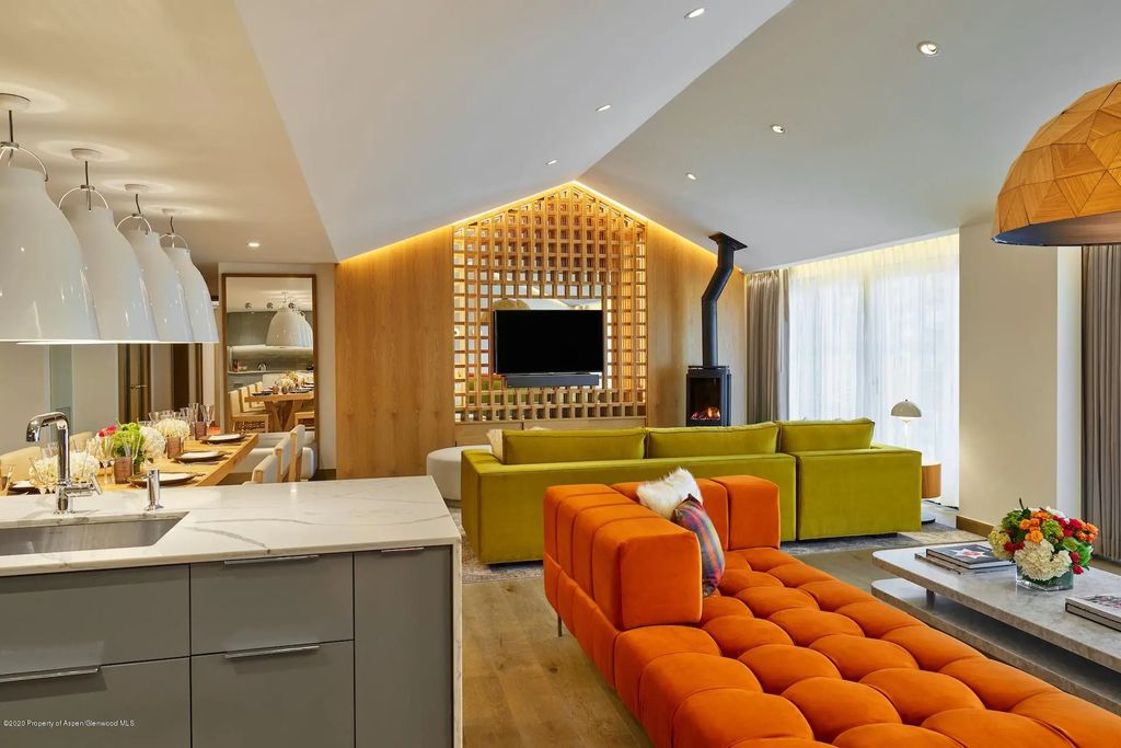 550 S Spring Street F-3, Aspen