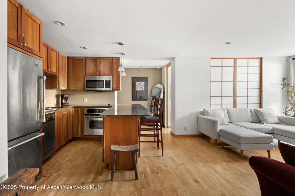 935 E Hopkins Avenue 7, Aspen