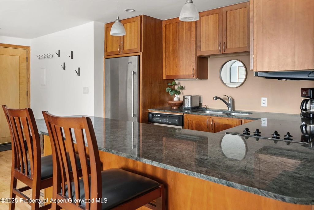 10 of 17 - 935 E Hopkins Avenue 7, Aspen, CO