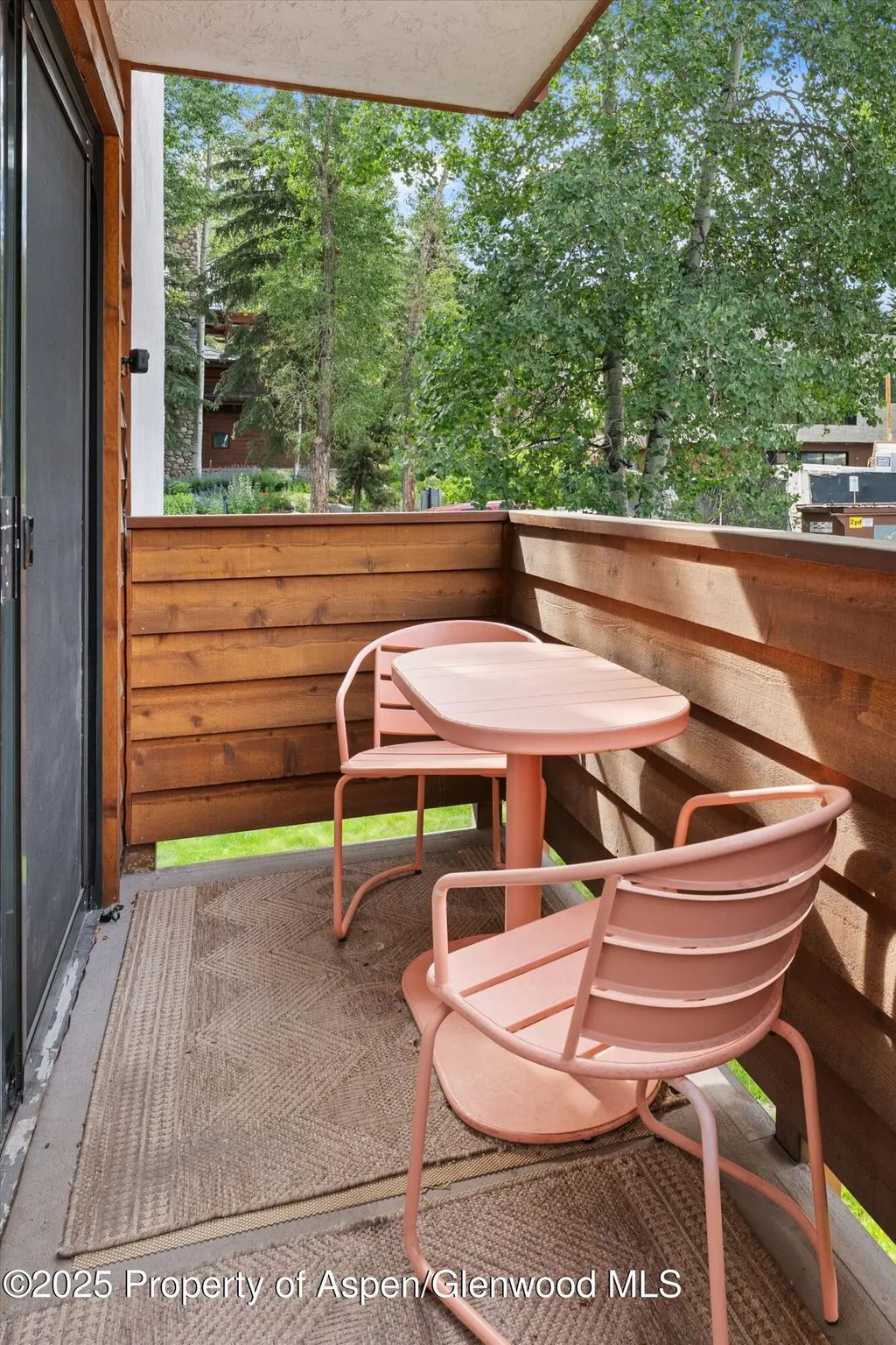 4 of 17 - 935 E Hopkins Avenue 7, Aspen, CO