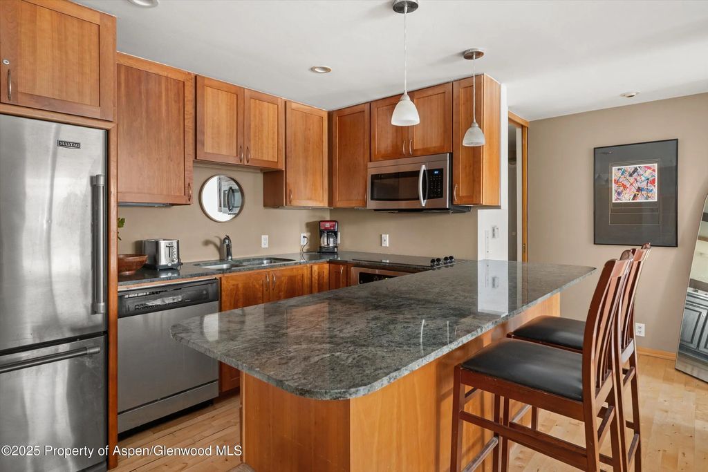 7 of 17 - 935 E Hopkins Avenue 7, Aspen, CO