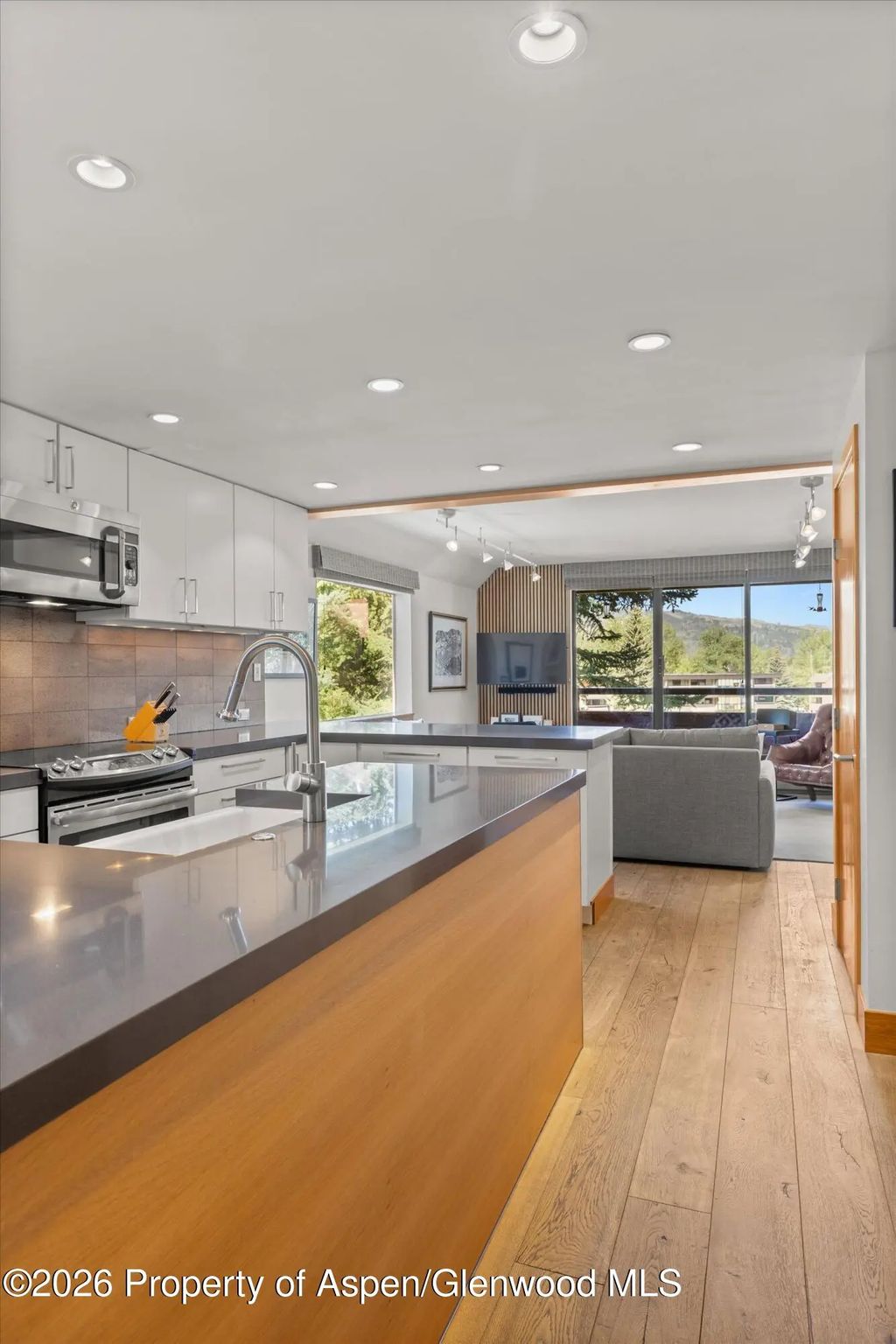 13 of 17 - 1221 Vine Street 1221, Aspen, CO