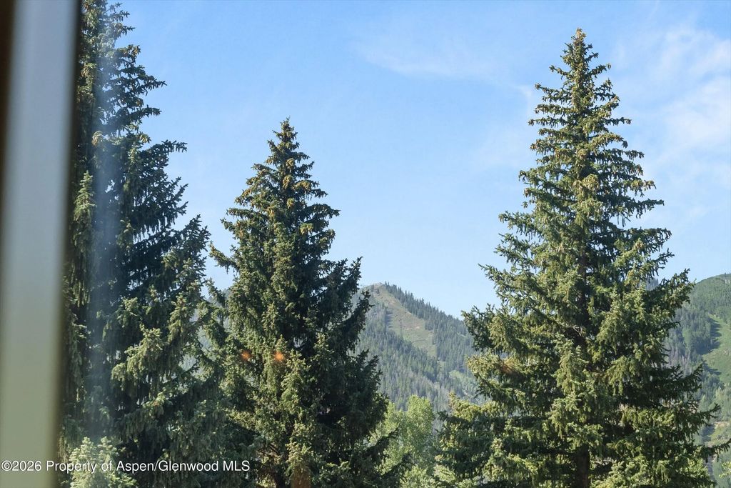 15 of 17 - 1221 Vine Street 1221, Aspen, CO