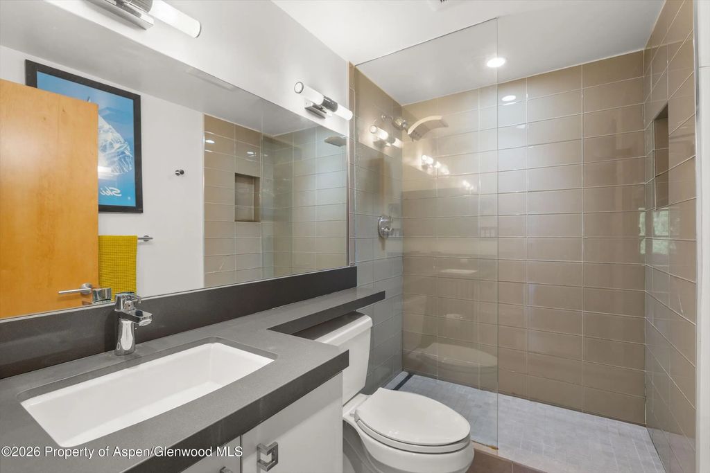 4 of 17 - 1221 Vine Street 1221, Aspen, CO