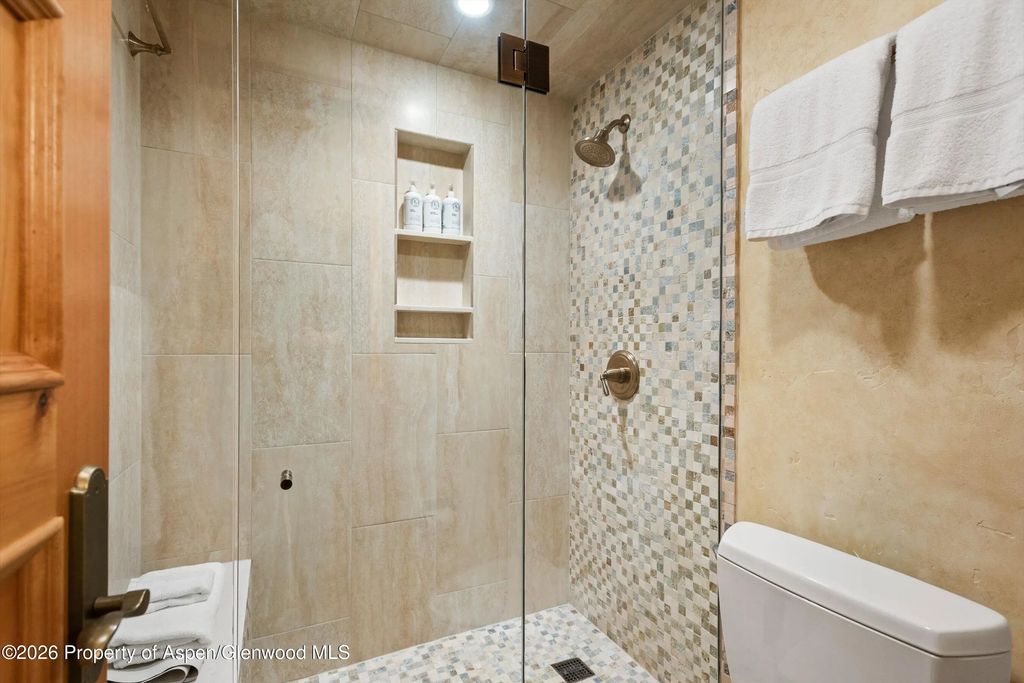 14 of 23 - 610 S West End Street D105, Aspen, CO
