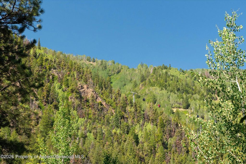 19 of 23 - 610 S West End Street D105, Aspen, CO