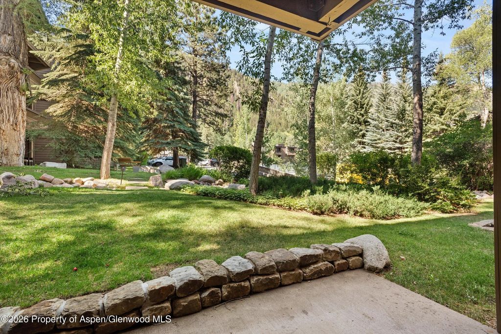 5 of 23 - 610 S West End Street D105, Aspen, CO