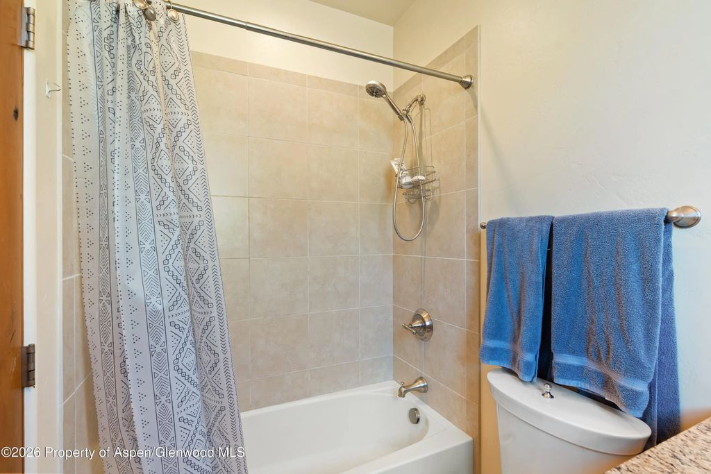 22 of 28 - 1017 Main Street, Carbondale, CO
