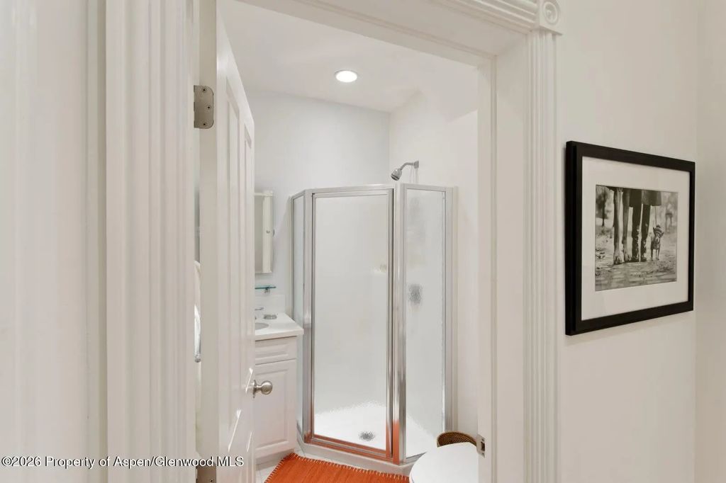 17 of 33 - 334 W Hallam Street, Aspen, CO