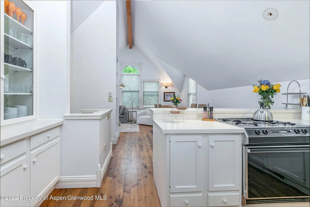 26 of 33 - 334 W Hallam Street, Aspen, CO
