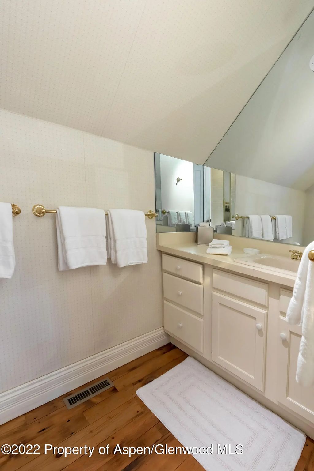 27 of 33 - 334 W Hallam Street, Aspen, CO