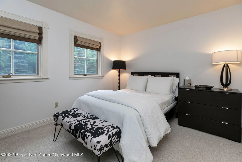 30 of 33 - 334 W Hallam Street, Aspen, CO