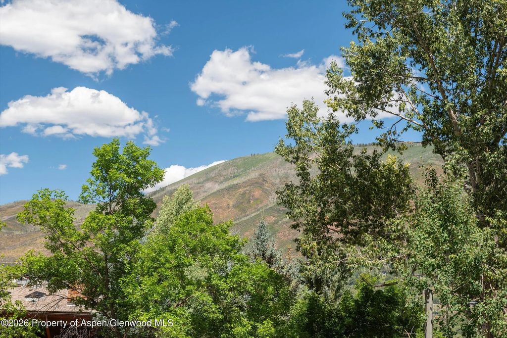 25 of 33 - 800 S Mill Street 101-c, Aspen, CO
