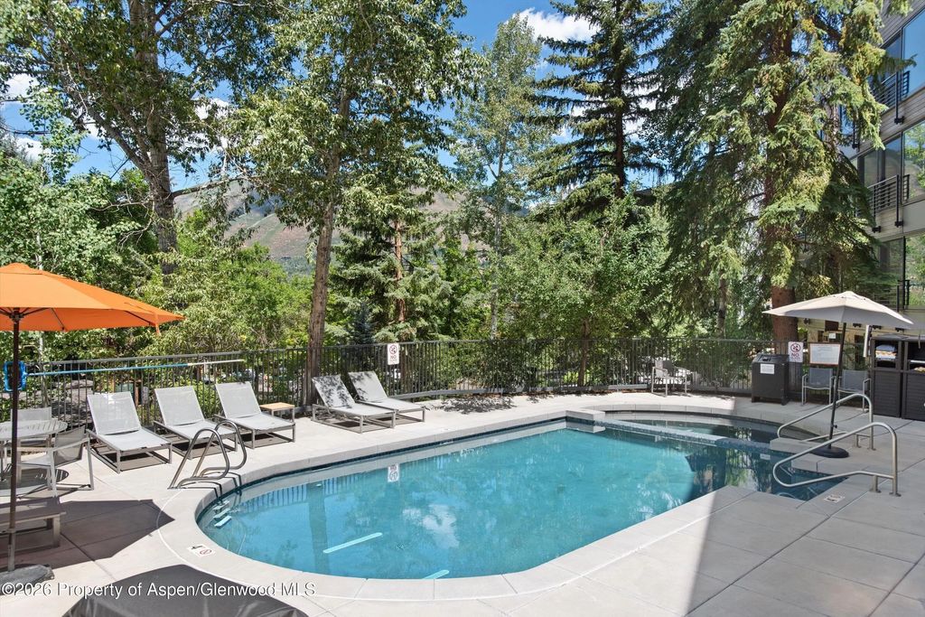 30 of 33 - 800 S Mill Street 101-c, Aspen, CO