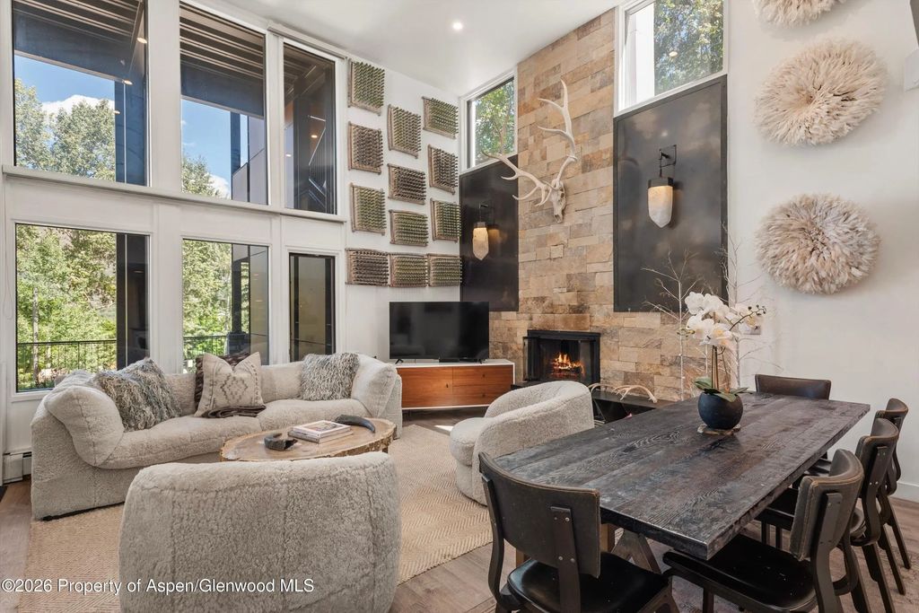6 of 33 - 800 S Mill Street 101-c, Aspen, CO