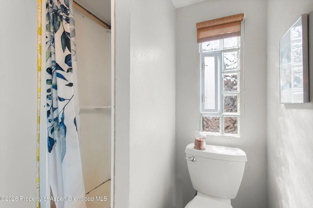 13 of 17 - 311 Oak Lane, Aspen, CO