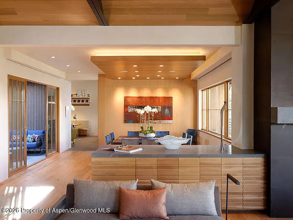 6 of 35 - 991 Moore Drive, Aspen, CO