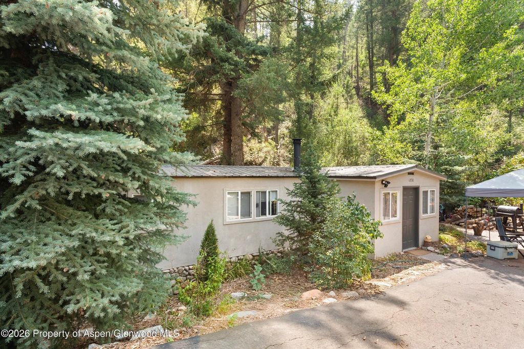 60 of 71 - 1254 County Road 127, Glenwood Springs, CO